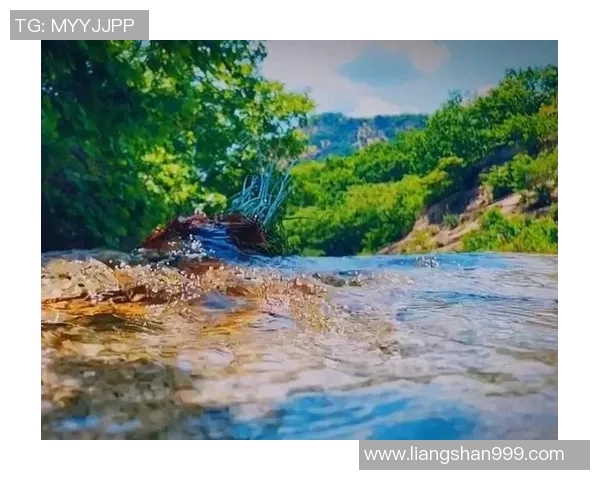 攀岩人生的高峰与低谷陈芳分享她的攀岩旅程与心路历程
