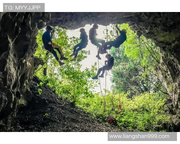 极限运动专题：深入分析北京极限运动队的战术与训练策略