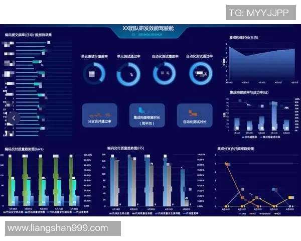 武汉排球队的转型之路与未来发展趋势深度解析