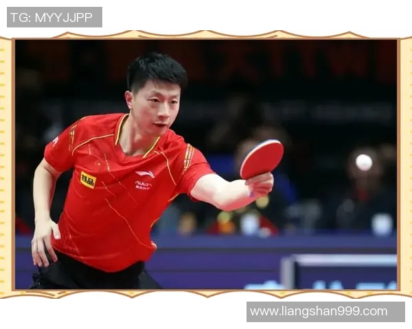 武汉乒乓球队在全运会中的技术表现分析与点评