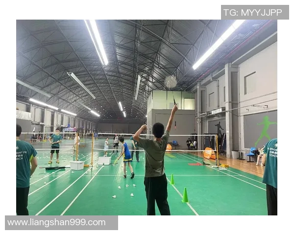 羽毛球新手必看：从零基础到比赛高手的全面攻略与实用技巧分享