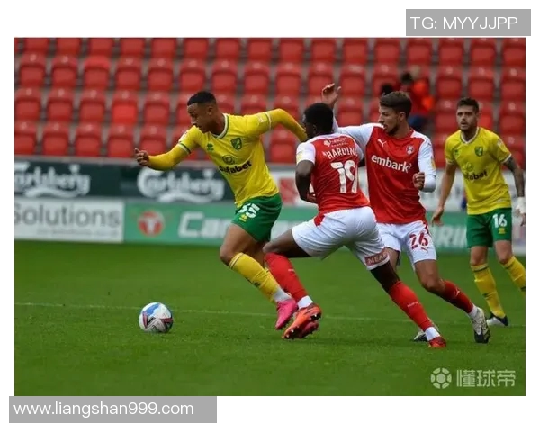 卢卡库的传奇之路：从青涩小将到世界级前锋的成长历程