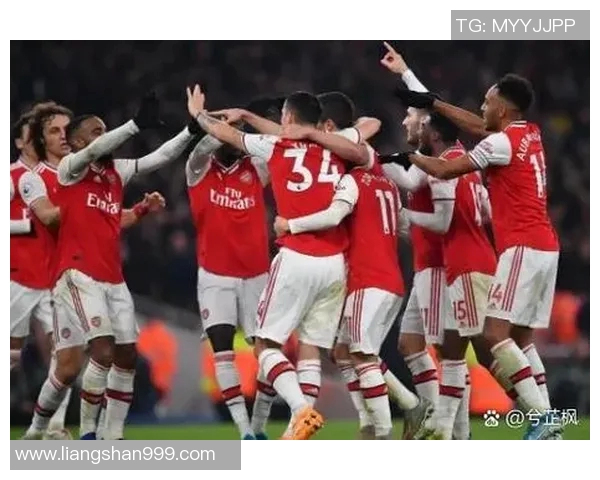 布琳狮子与墨尔本骑士激战正酣谁能在这场对决中笑到最后