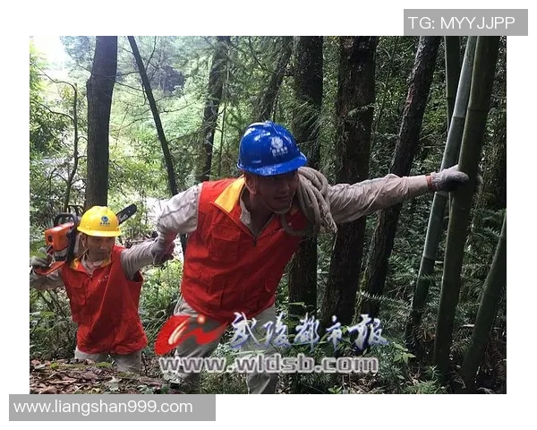 重庆攀岩队如何通过控制革新提升竞技水平与团队协作能力