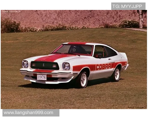 阿特拉斯与野马历史交锋战绩分析及未来展望 阿特拉斯与野马历史交锋战绩分析及未来展望