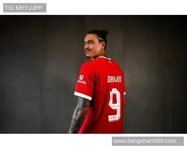 努涅斯在赛场上的崛起与挑战解析足球新星的成长之路